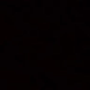 Meet your Posher, Chase